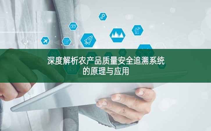 深度解析農(nóng)產(chǎn)品質(zhì)量安全追溯系統(tǒng)的原理與應用
