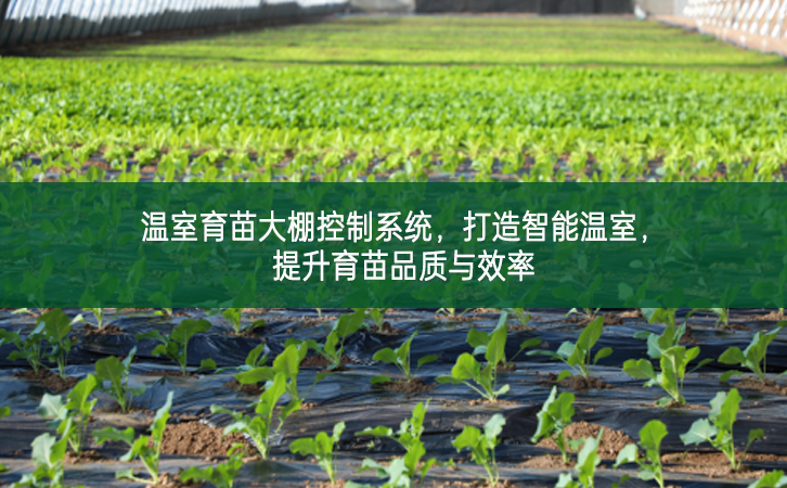 溫室育苗大棚控制系統(tǒng)，打造智能溫室，提升育苗品質(zhì)與效率