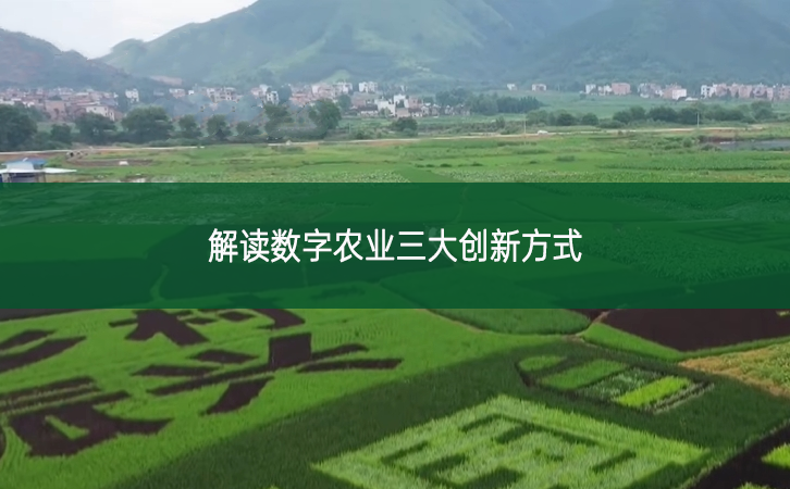 解讀數(shù)字農(nóng)業(yè)三大創(chuàng)新方式