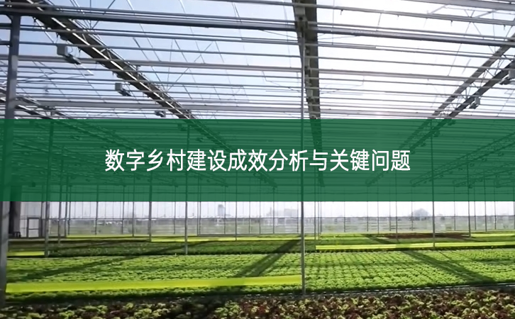 數字鄉村建設成效分析與關鍵問題