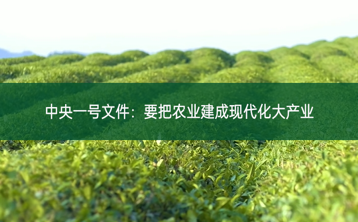中央一號文件:要把農業建成現代化大產業