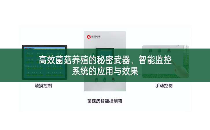 高效菌菇養殖的秘密武器，智能監控系統的應用與效果
