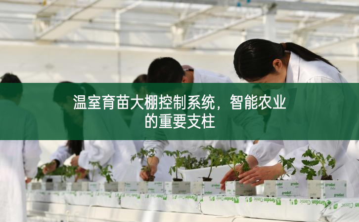 溫室育苗大棚控制系統(tǒng),智能農(nóng)業(yè)的重要支柱