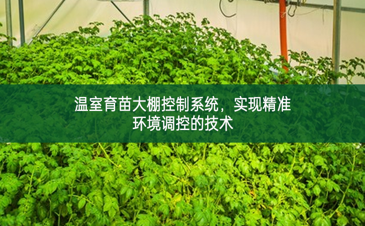 溫室育苗大棚控制系統，實現精準環境調控的技術