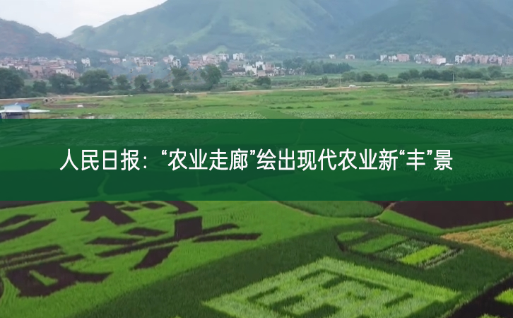 人民日?qǐng)?bào):“農(nóng)業(yè)走廊”繪出現(xiàn)代農(nóng)業(yè)新“豐”景