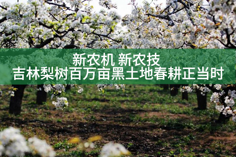 新農(nóng)機 新農(nóng)技 吉林梨樹百萬畝黑土地春耕正當時