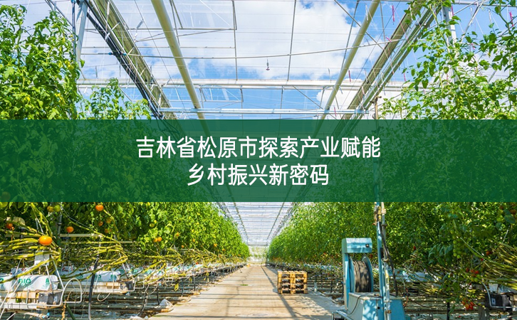 吉林省松原市探索產(chǎn)業(yè)賦能鄉(xiāng)村振興新密碼