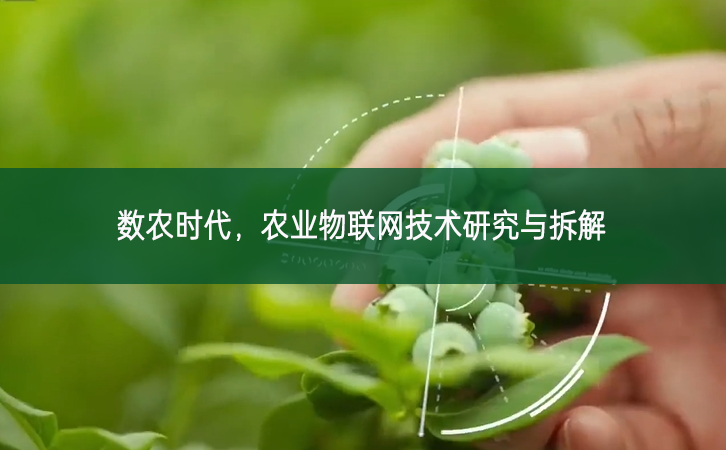 數農時代,農業物聯網技術研究與拆解