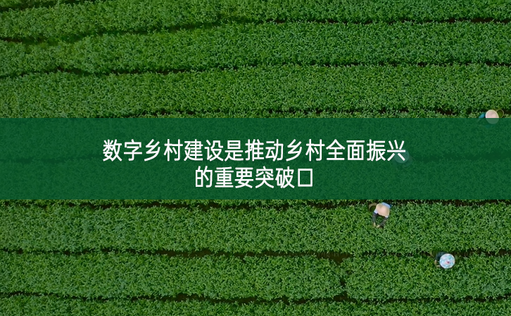 數字鄉村建設是推動鄉村全面振興的重要突破口