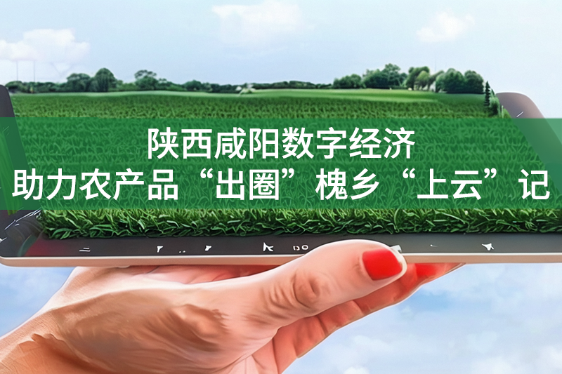 陜西咸陽數字經濟助力農產品“出圈”槐鄉“上云”記