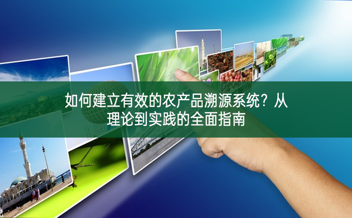 如何建立有效的農產品溯源系統？從理論到實踐的全面指南
