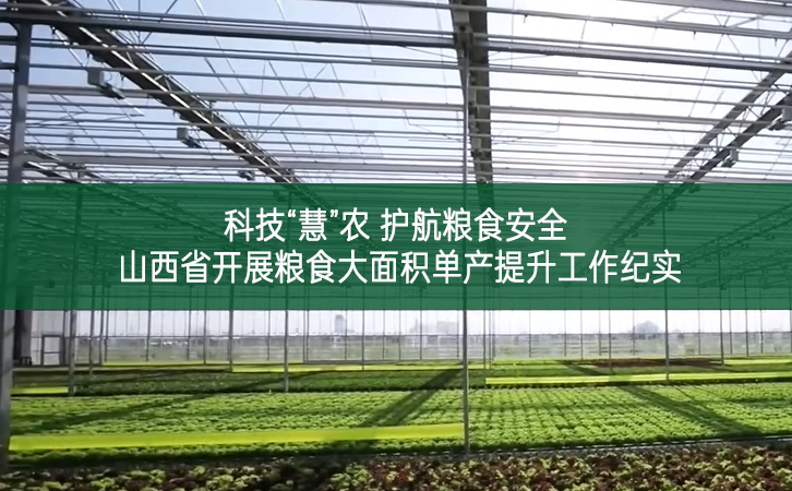 科技“慧”農 護航糧食安全 ——山西省開展糧食大面積單產提升工作紀實