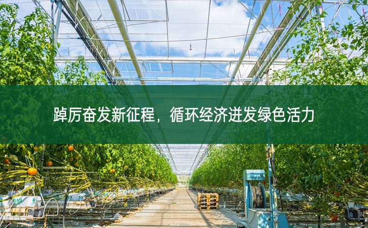 踔厲奮發(fā)新征程，循環(huán)經(jīng)濟(jì)迸發(fā)綠色活力