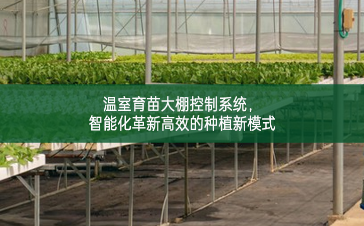 溫室育苗大棚控制系統，智能化革新高效的種植新模式