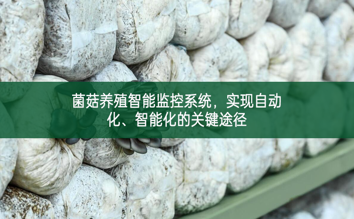 菌菇養殖智能監控系統,實現自動化、智能化的關鍵途徑