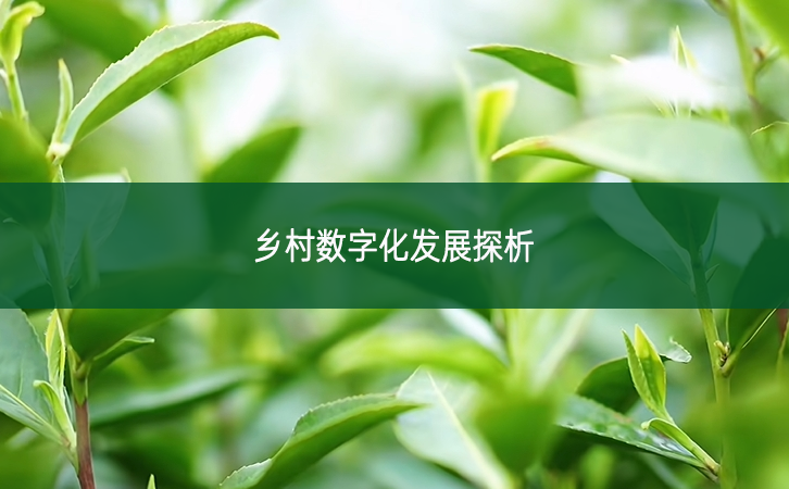 鄉村數字化發展探析