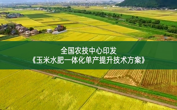 全國農技中心印發《玉米水肥一體化單產提升技術方案》