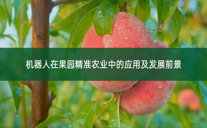機(jī)器人在果園精準(zhǔn)農(nóng)業(yè)中的應(yīng)用及發(fā)展前景