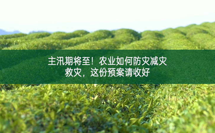 主汛期將至!農(nóng)業(yè)如何防災(zāi)減災(zāi)救災(zāi),這份預(yù)案請收好