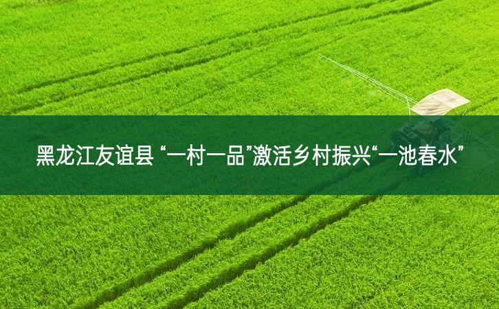黑龍江友誼縣 “一村一品”激活鄉村振興“一池春水”