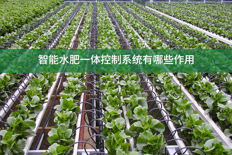 智能水肥一體控制系統有哪些作用?