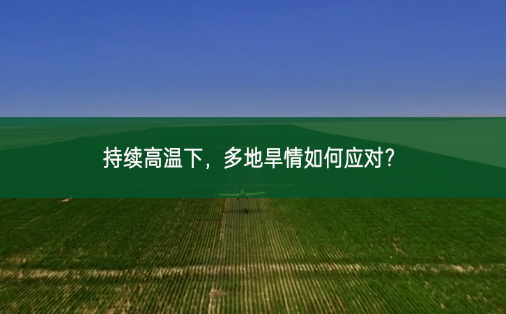 持續高溫下,多地旱情如何應對?