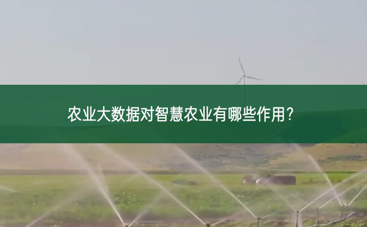 農(nóng)業(yè)大數(shù)據(jù)對智慧農(nóng)業(yè)有哪些作用？