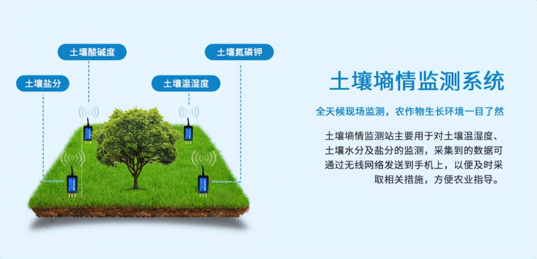 配合土壤墑情系統,維持育苗環境