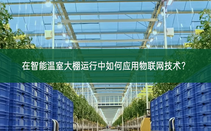 在智能溫室大棚運行中如何應用物聯網技術?