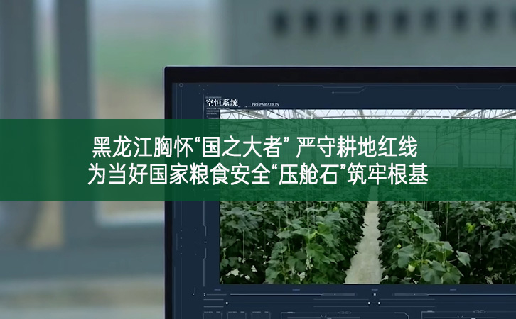 黑龍江胸懷“國(guó)之大者” 嚴(yán)守耕地紅線 為當(dāng)好國(guó)家糧食安全“壓艙石”筑牢根基