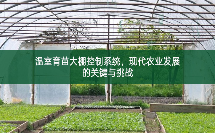 溫室育苗大棚控制系統，現代農業發展的關鍵與挑戰