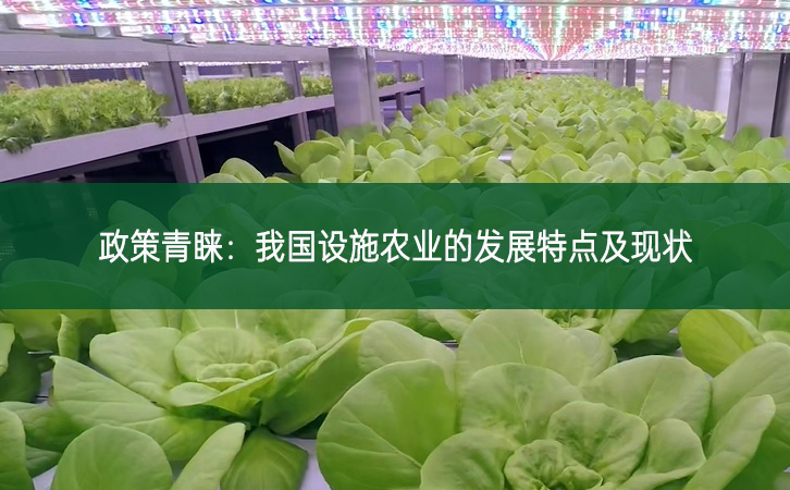 政策青睞：我國設(shè)施農(nóng)業(yè)的發(fā)展特點(diǎn)及現(xiàn)狀
