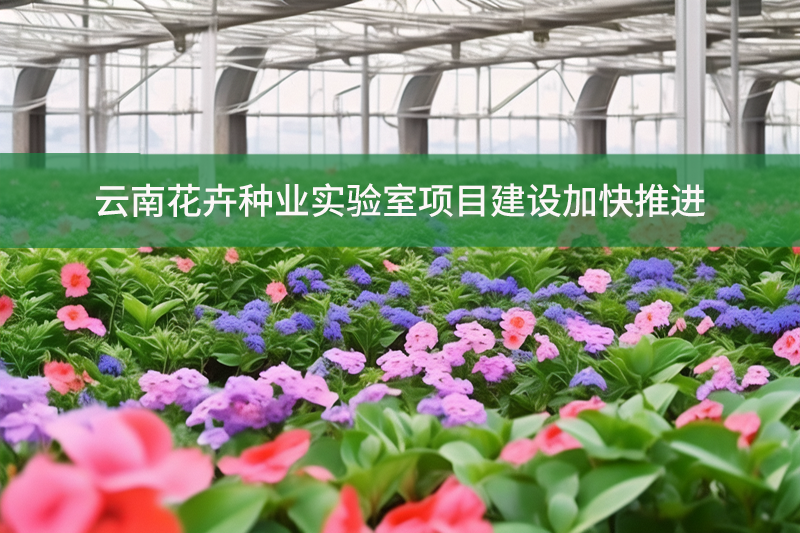 云南花卉種業(yè)實驗室項目建設(shè)加快推進