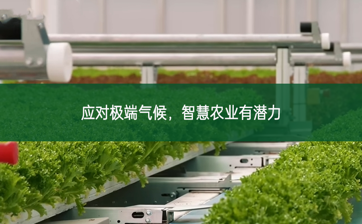 應(yīng)對(duì)極端氣候，智慧農(nóng)業(yè)有潛力