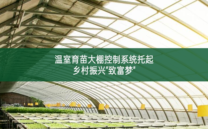 溫室育苗大棚控制系統(tǒng)托起鄉(xiāng)村振興"致富夢"