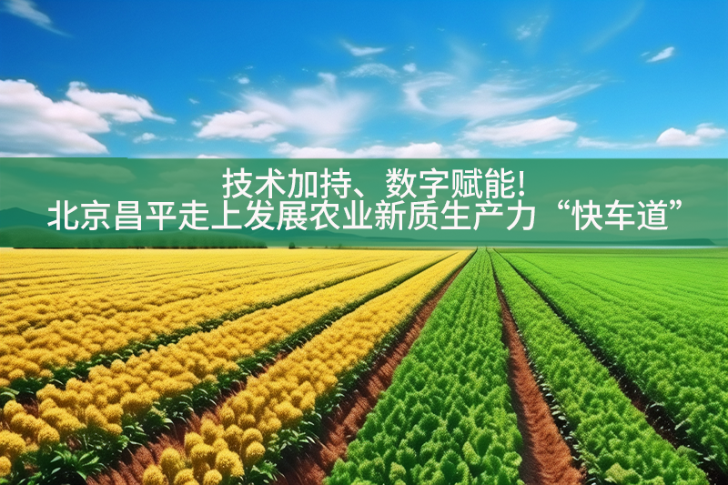 技術加持、數字賦能!北京昌平走上發展農業新質生產力“快車道”