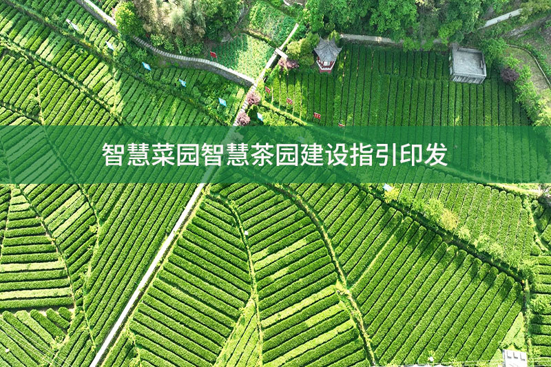 智慧菜園智慧茶園建設(shè)指引印發(fā)
