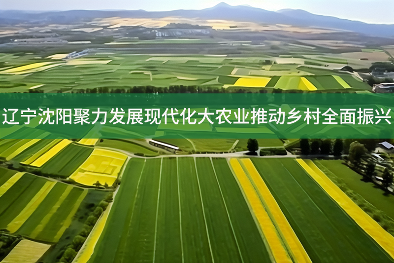 遼寧沈陽聚力發(fā)展現(xiàn)代化大農業(yè)推動鄉(xiāng)村全面振興