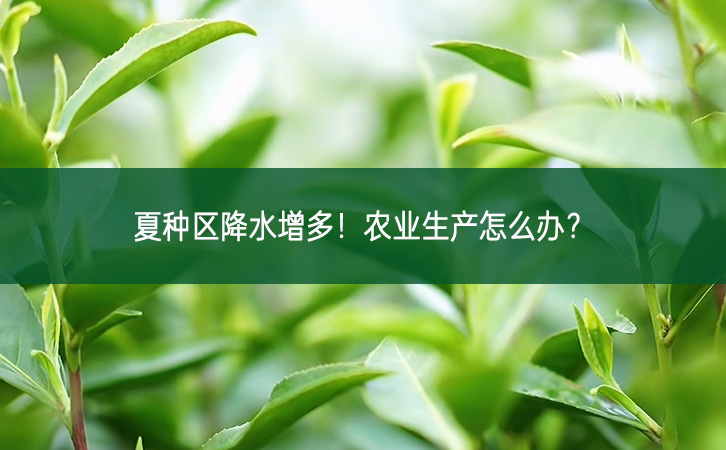 夏種區(qū)降水增多!農(nóng)業(yè)生產(chǎn)怎么辦?