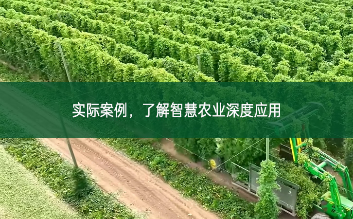 實際案例，了解智慧農業深度應用