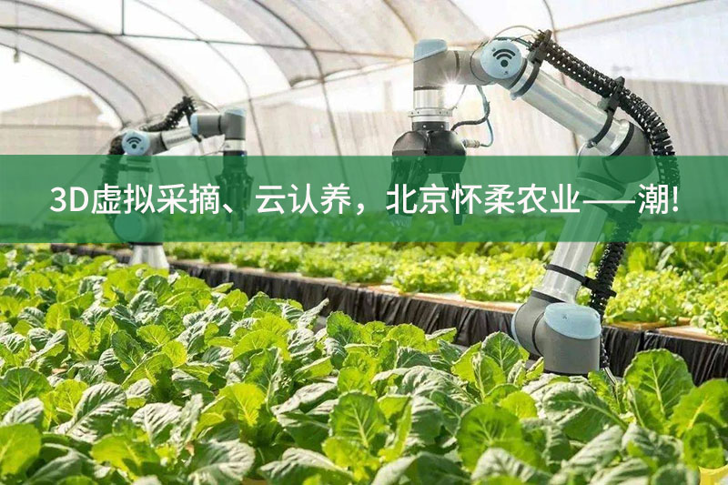 3D虛擬采摘、云認(rèn)養(yǎng)，北京懷柔農(nóng)業(yè)——潮!