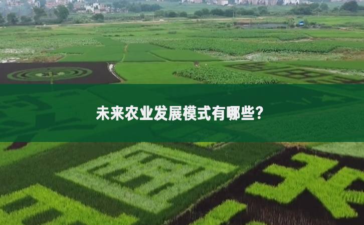 未來農(nóng)業(yè)發(fā)展模式有哪些？
