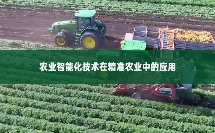 農(nóng)業(yè)智能化技術在精準農(nóng)業(yè)中的應用