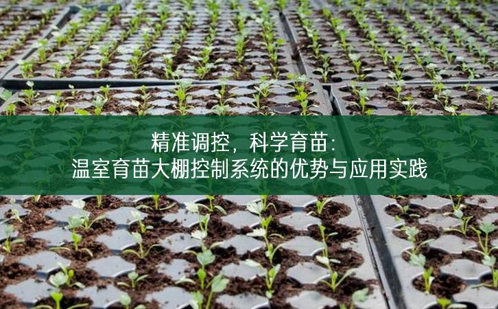 精準調控，科學育苗：溫室育苗大棚控制系統的優勢與應用實踐