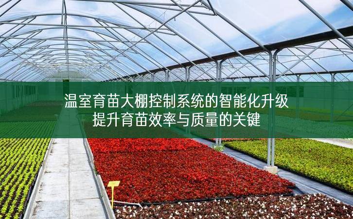 溫室育苗大棚控制系統的智能化升級:提升育苗效率與質量的關鍵