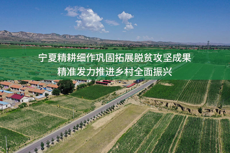 寧夏精耕細作鞏固拓展脫貧攻堅成果 精準發力推進鄉村全面振興