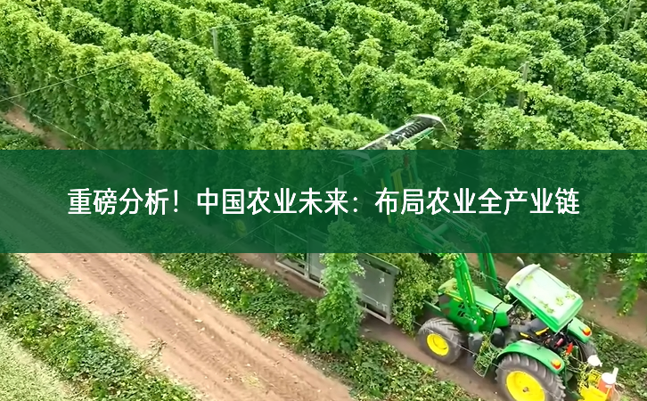 重磅分析!中國(guó)農(nóng)業(yè)未來:布局農(nóng)業(yè)全產(chǎn)業(yè)鏈