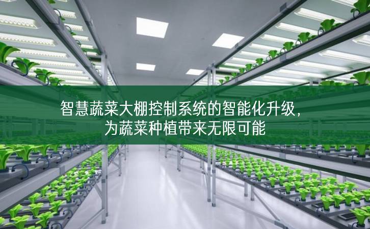 智慧蔬菜大棚控制系統的智能化升級，為蔬菜種植帶來無限可能