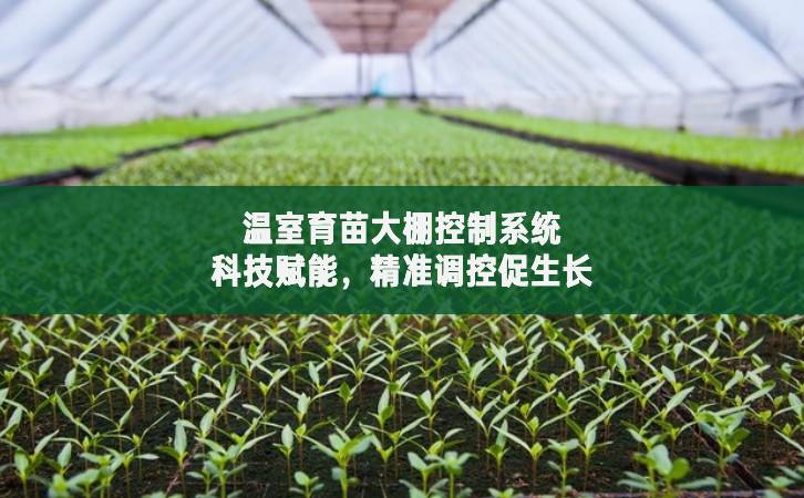 溫室育苗大棚控制系統(tǒng):科技賦能,精準(zhǔn)調(diào)控促生長