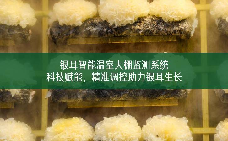 銀耳智能溫室大棚監測系統:科技賦能,精準調控助力銀耳生長